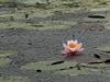 Sample image from gallery